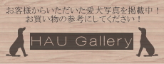 HAU Gallery��HAU �ӥ�륭�����̲���������