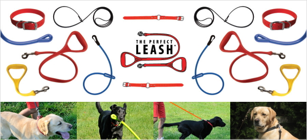 犬用品|伸びるリード、壊れないおもちゃ、防水の首輪|パーフェクトリーシュシリーズ|犬グッズ通販HAU