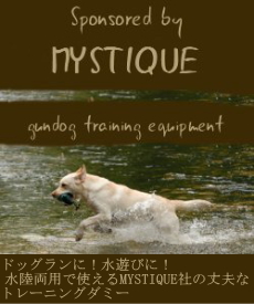 ��Ǥ�Φ�Ǥ�Ȥ��뤪�����Ḥ�Υȥ졼�˥󥰥��ߡ����������ø����å�/���������� �ȣ��աʥϥ���