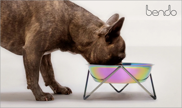 WOOF シングルドッグボウル Bendo｜おしゃれなデザイナーズ犬用食器、高さのある台つきフードボウル｜おすすめ犬グッズ通販HAU（ハウ）