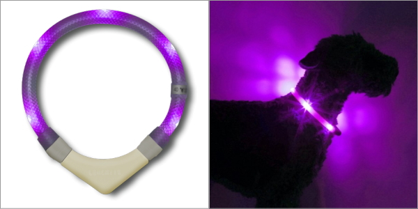 ペット用品　セーフティライト　透明白　 LED 　散歩 　ペット　夜道　安全